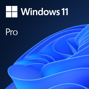 Microsoft Windows 11 Pro 64bit (NL)