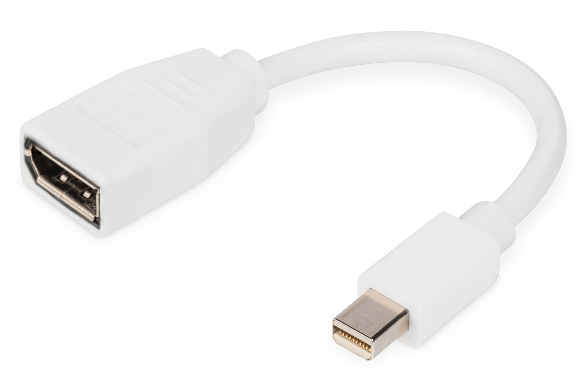 DIGITUS DisplayPort Kabel. mini DP - DP St./Bu. 0.15m weiß