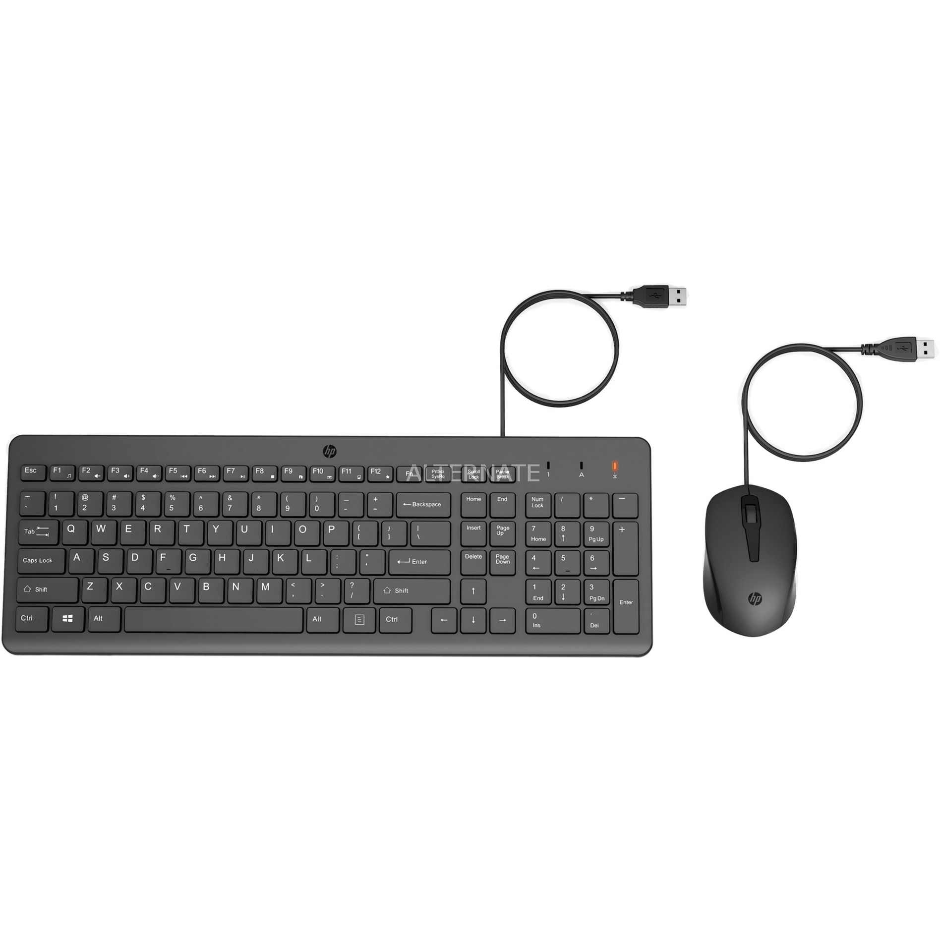 HP 150 Kabelgebundene Tastatur und Maus