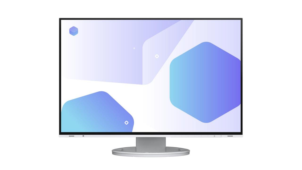 EIZO 61.0cm (24
