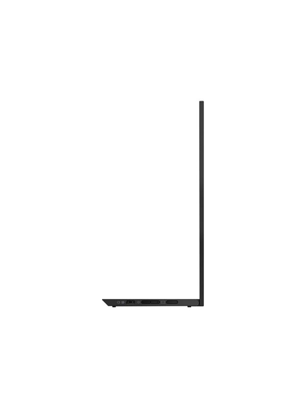 Lenovo ThinkVision M14d (14.0