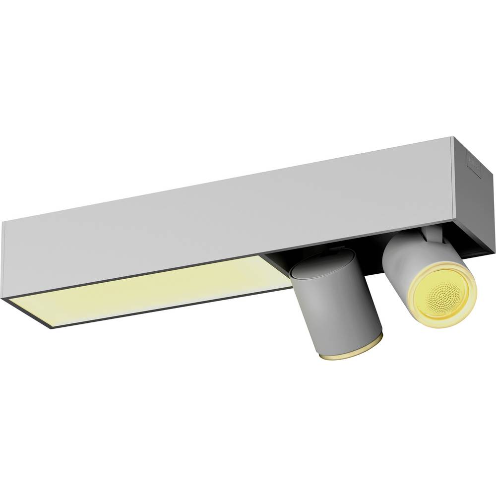 Philips Hue White & Color Ambiance Centris Deckenleuchte weiß • 2er-Spot
