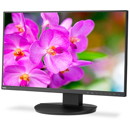 EA241F 24IN IPS BLACK