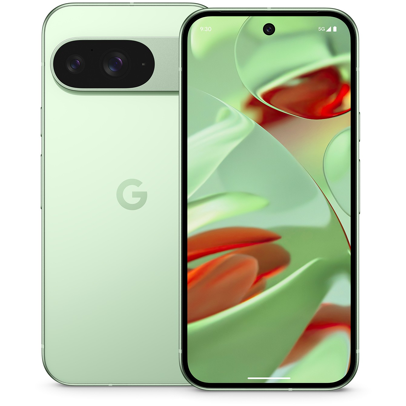 Google Pixel 9 256GB 12RAM 5G Wintergreen