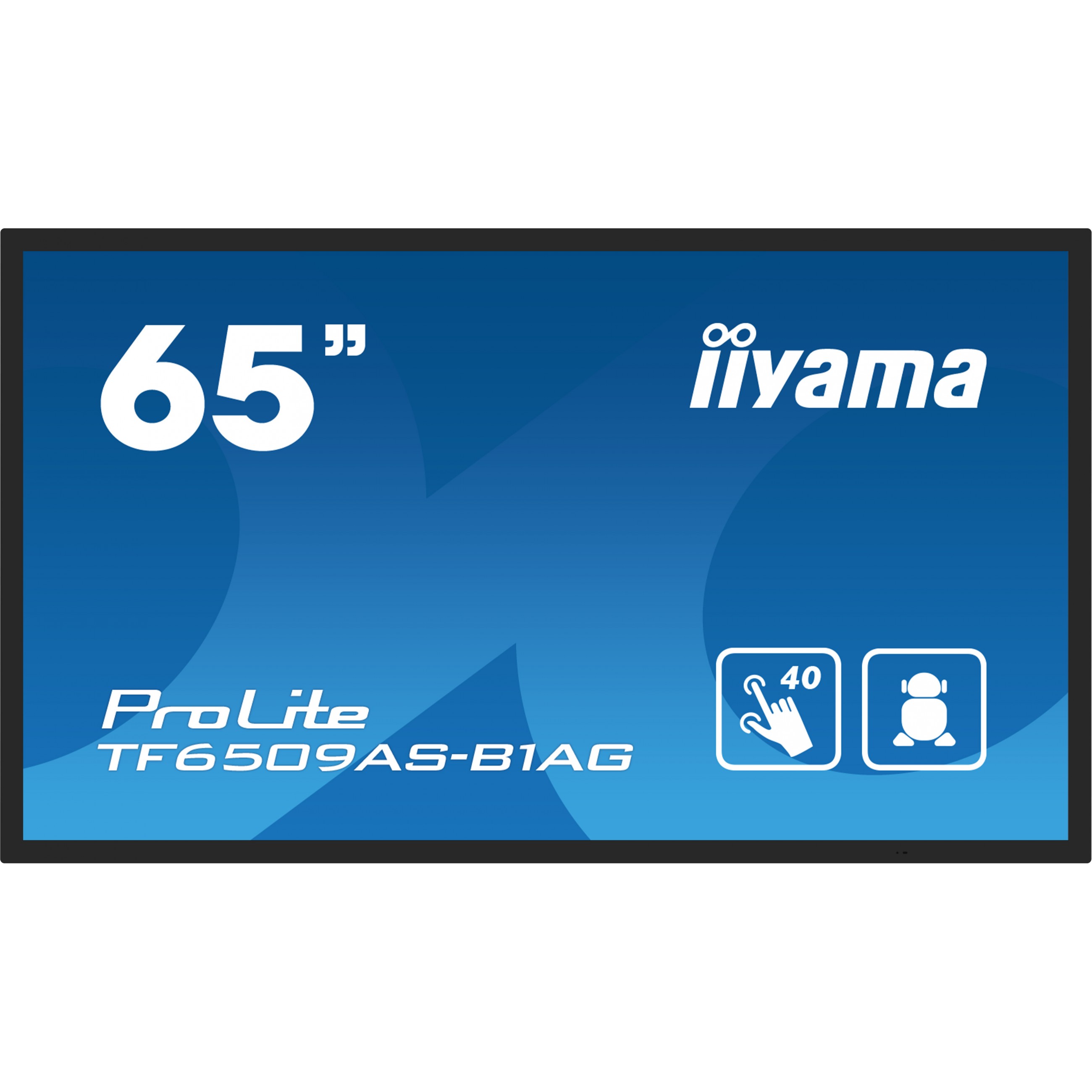 IIYAMA 163.9cm(64.5