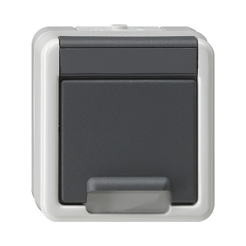 GIRA 441430 SCHUKO-Steckdose AP/WD mit Klappd.+SafetyPlus WG AP grau