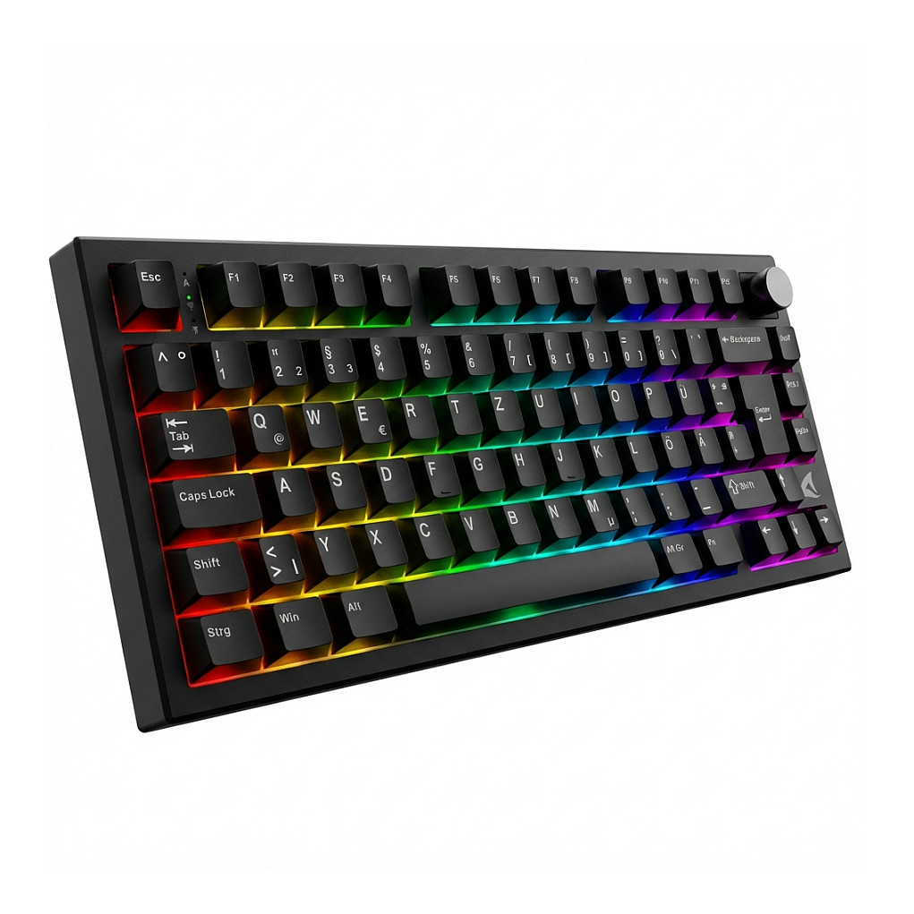 Sharkoon SKILLER SGK55W (schwarz, DE-Layout, Sharkoon Linear)