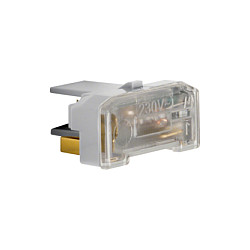 Berker 1675 Glimmaggregat mit N-Klemme IP44 gr