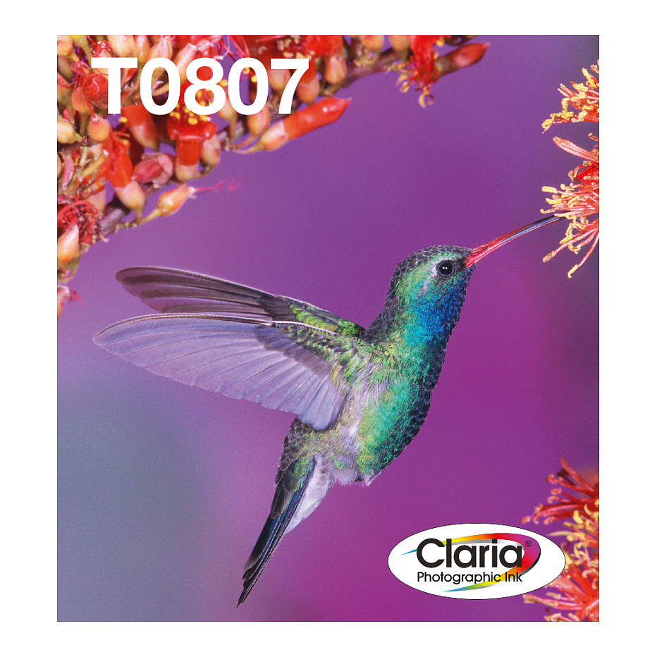 Epson Original Easy Mail Packing T0807 Kolibri Druckerpatronen 6er Multipack BK/C/M/Y/LC/LM (C13T08074510)