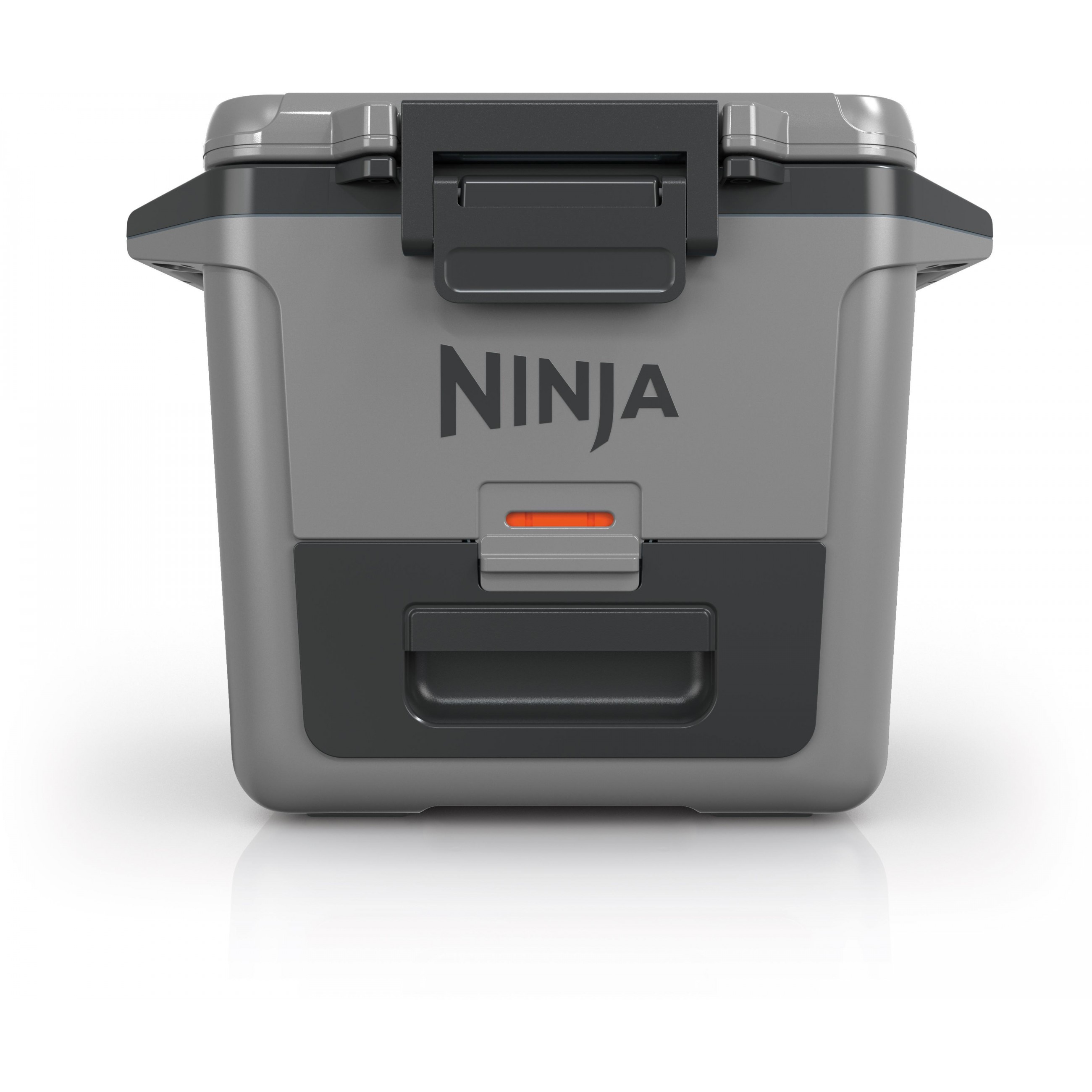 Ninja FB131EUGY FrostVault 28 L Grau