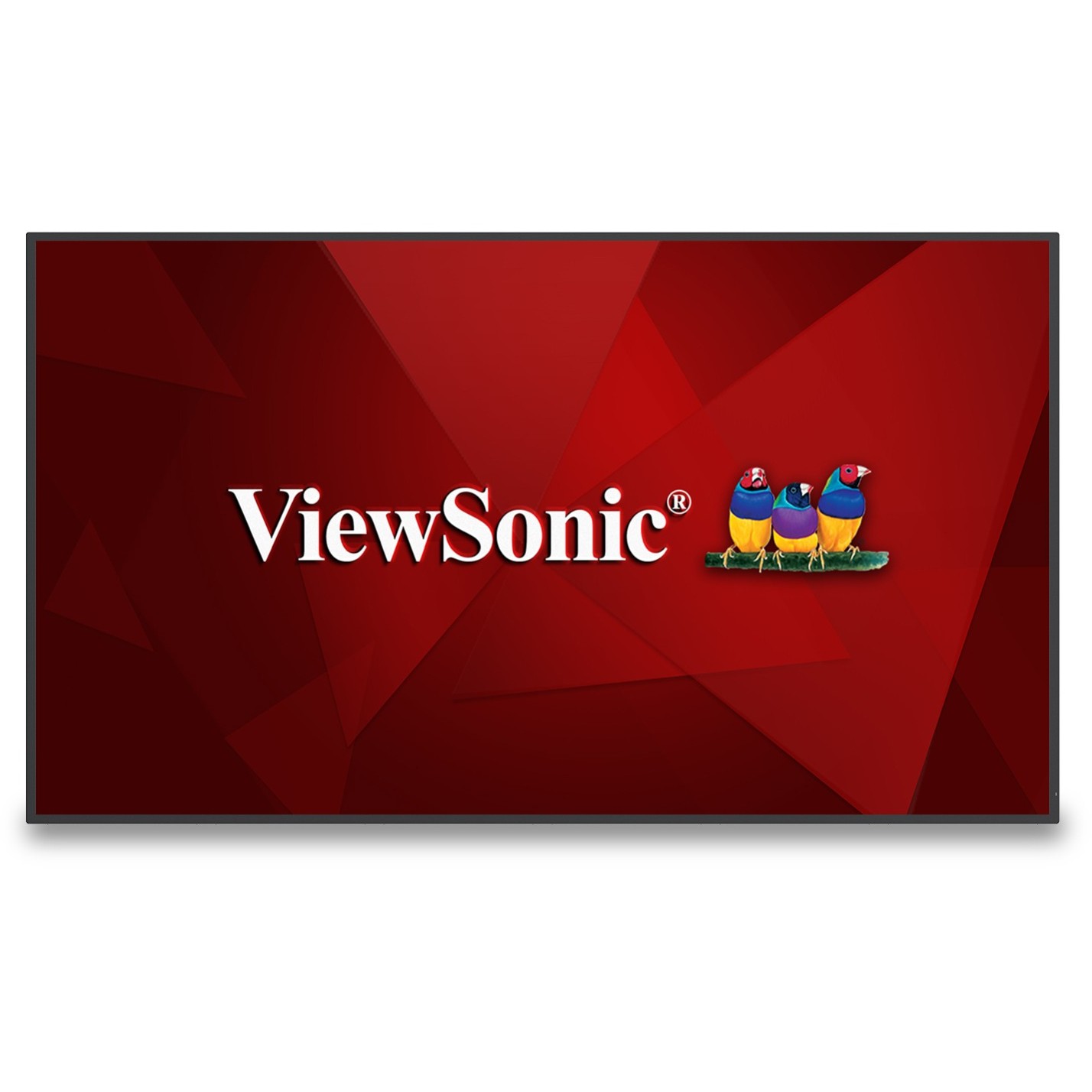 Viewsonic 165.1cm CDE6530 16:9 HDMI/LAN/USB-C 500nits