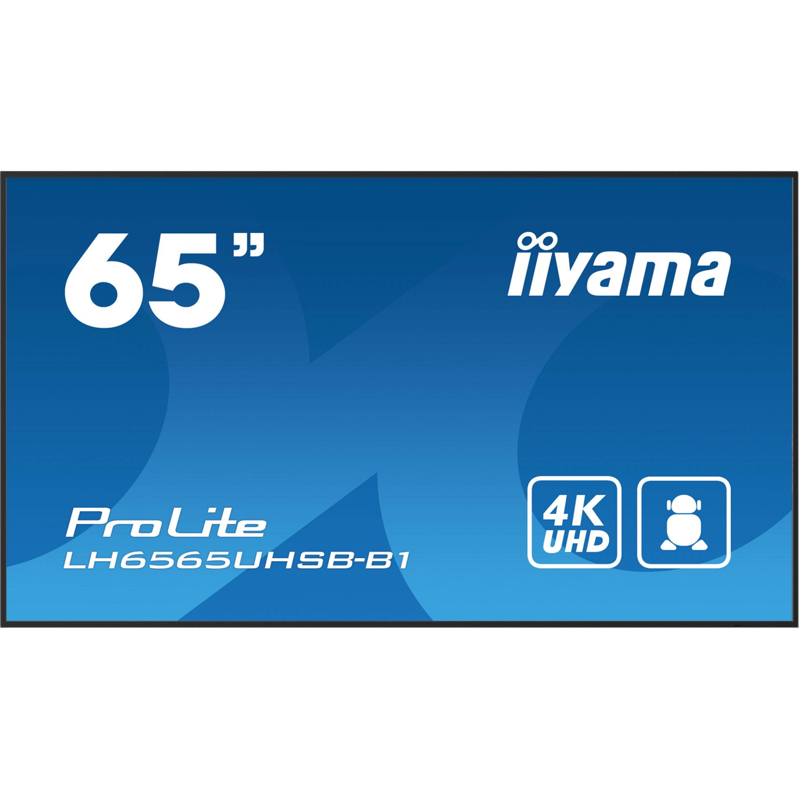 IIYAMA 164.0cm(65