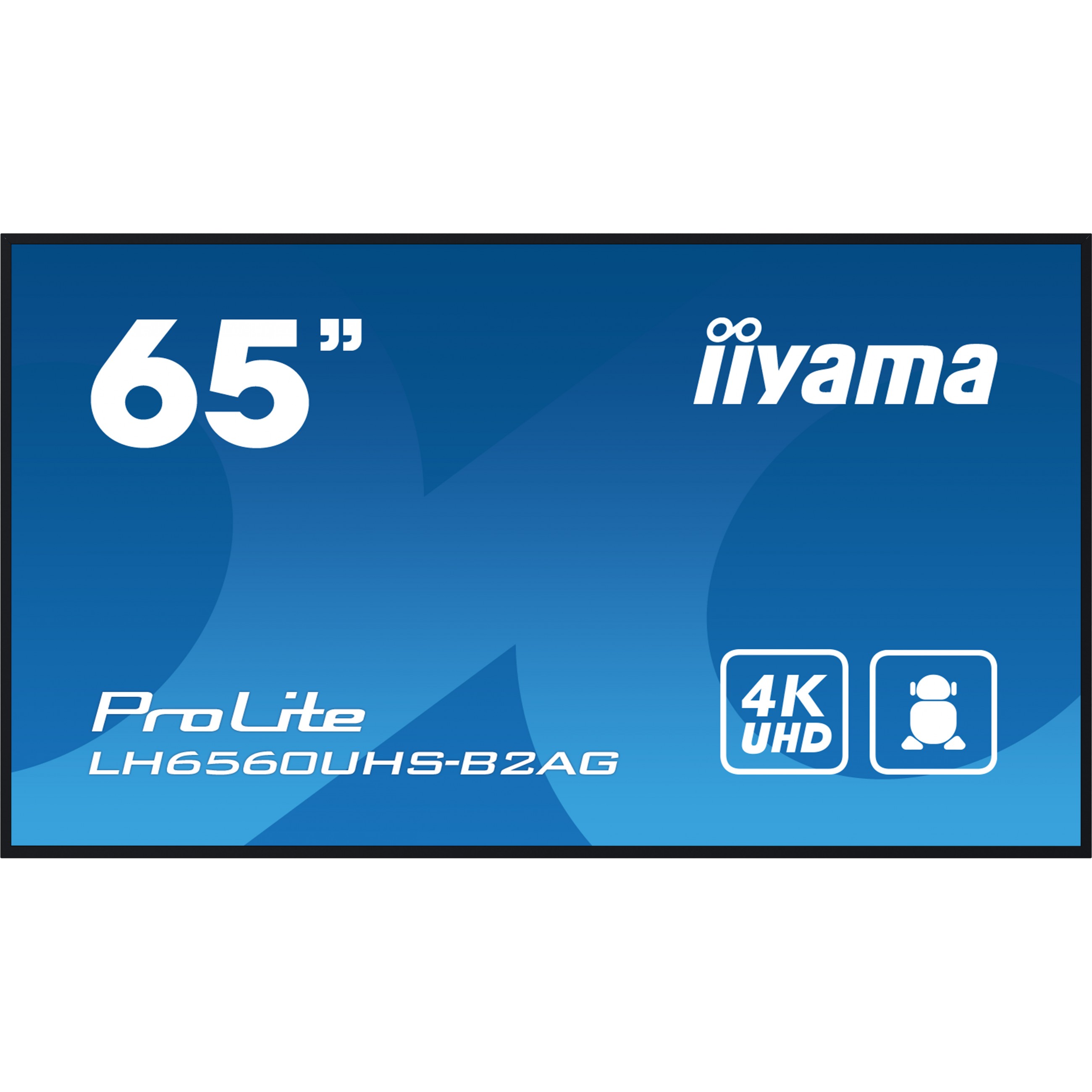 IIYAMA 164.0cm(65