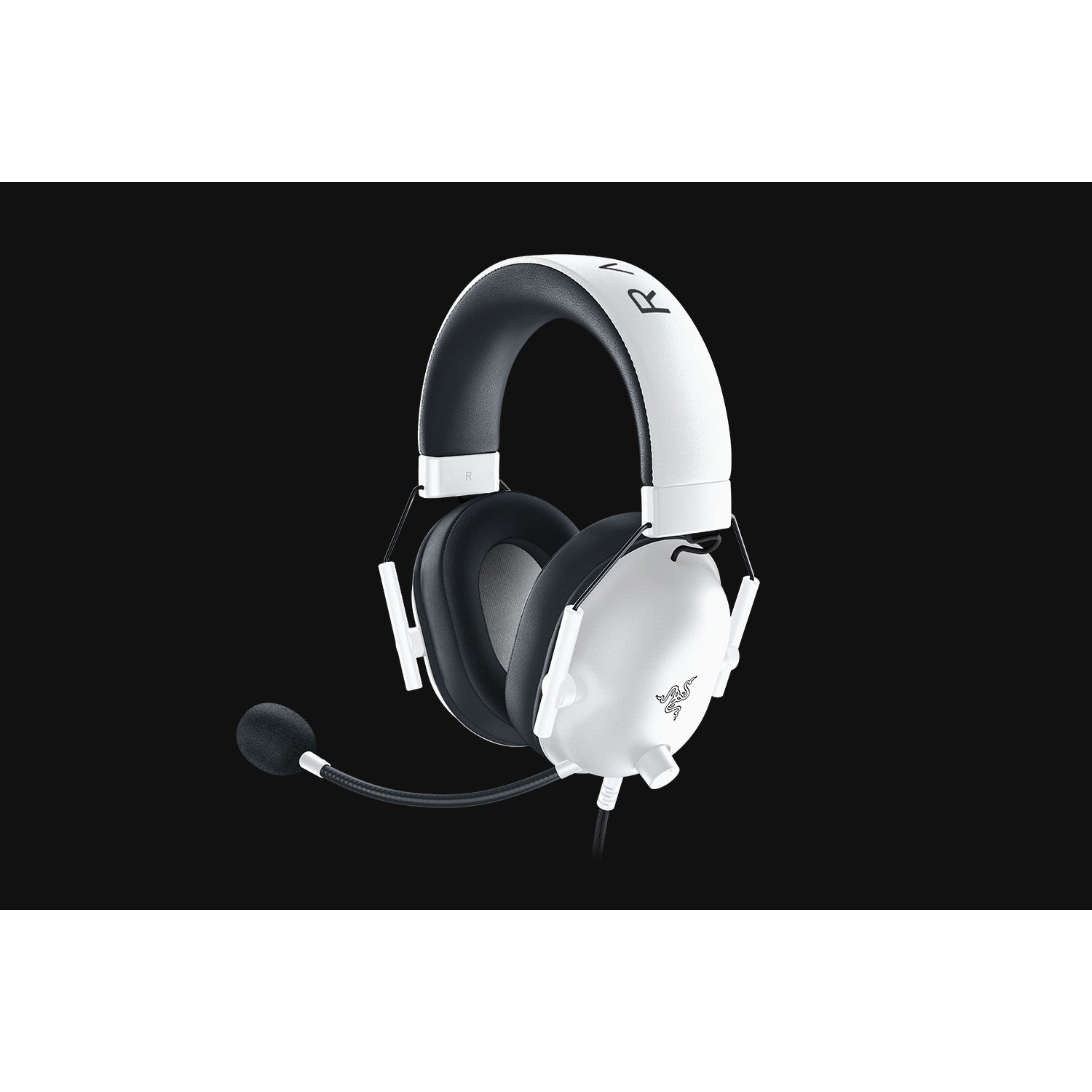 Razer BlackShark V2 X Biae