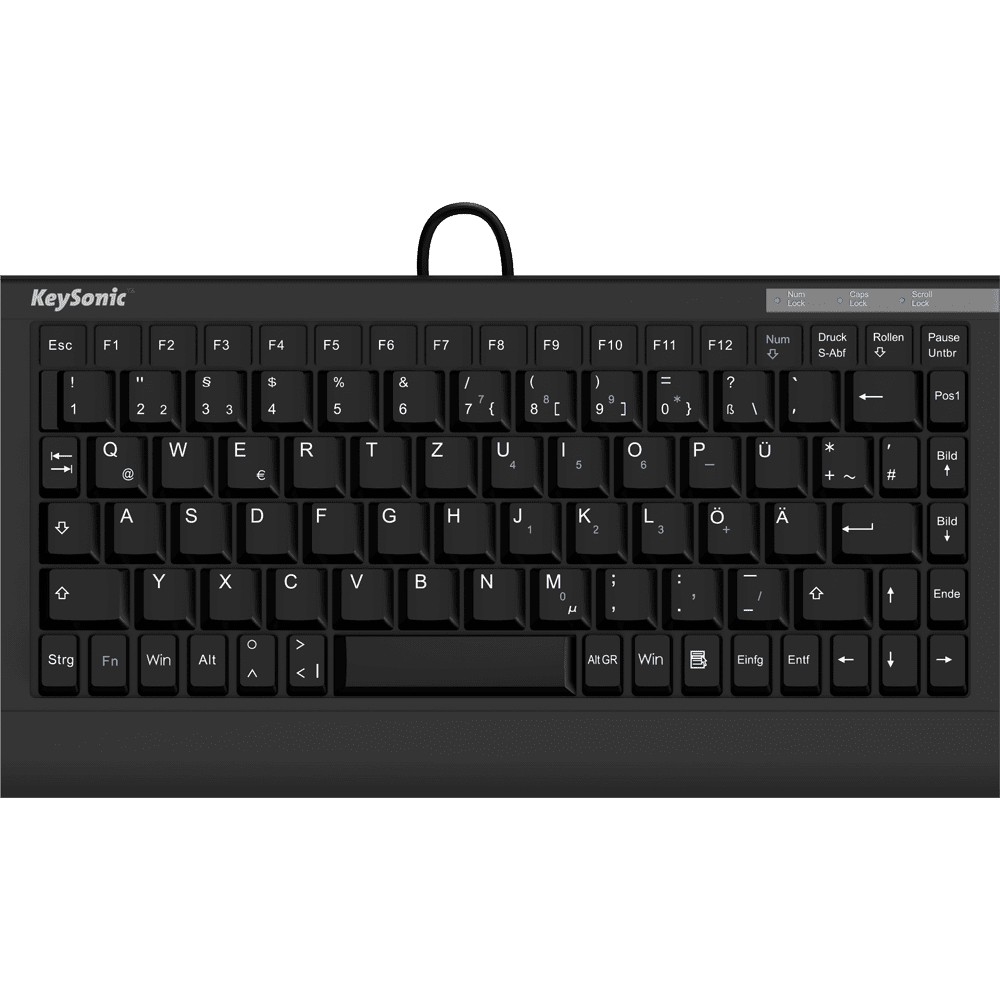 KeySonic ACK-595C+ (US) Mini SoftSkin PS/2-USB black