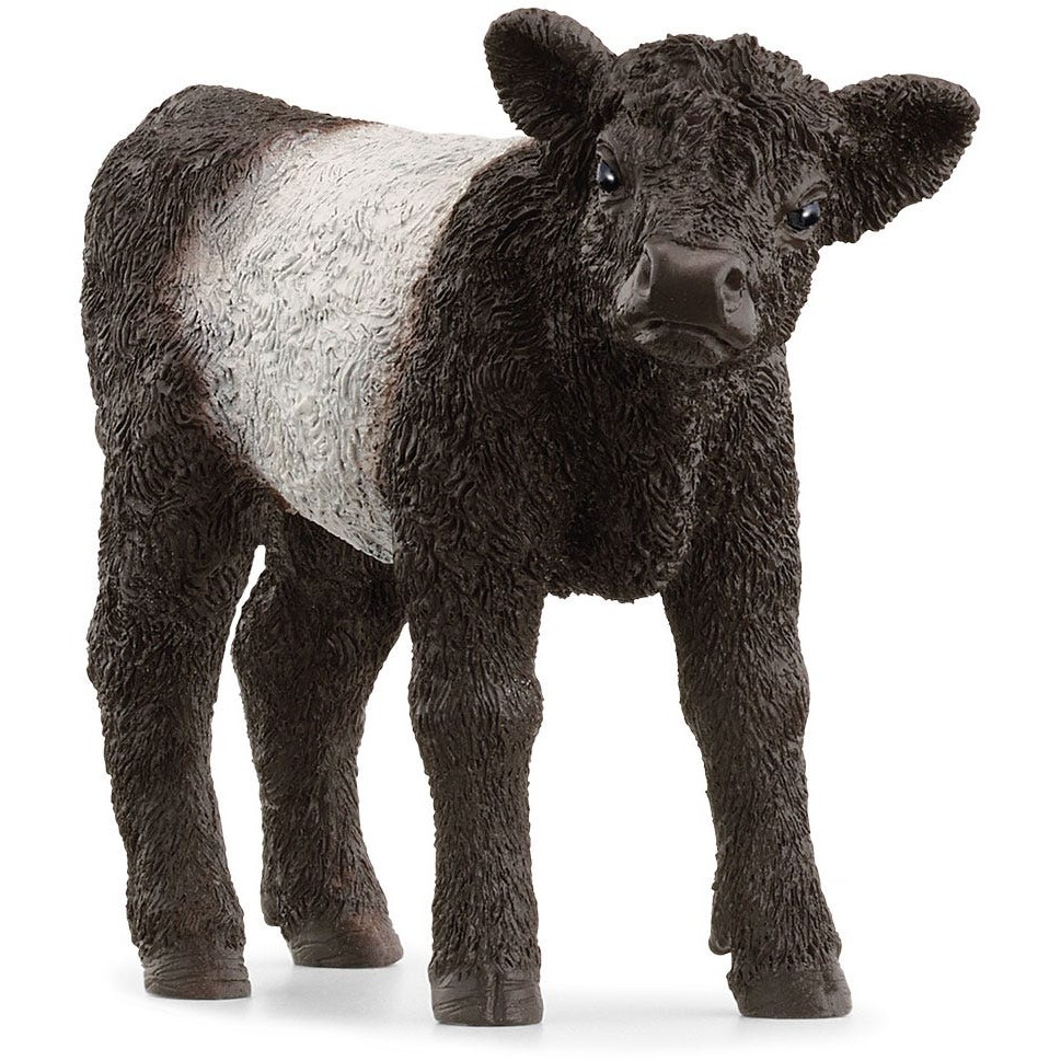 Schleich Farm World Galloway Kalb 13969