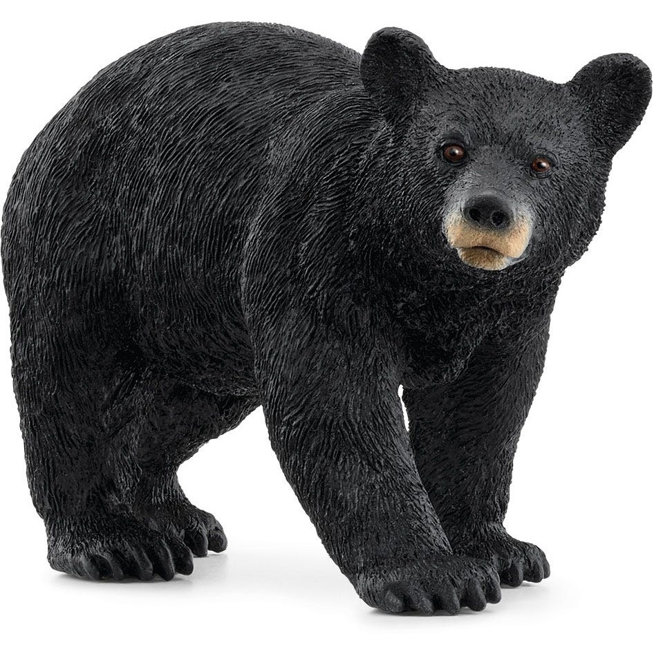 Schleich Wild Life 14869 Amerikanischer Schwarzbr