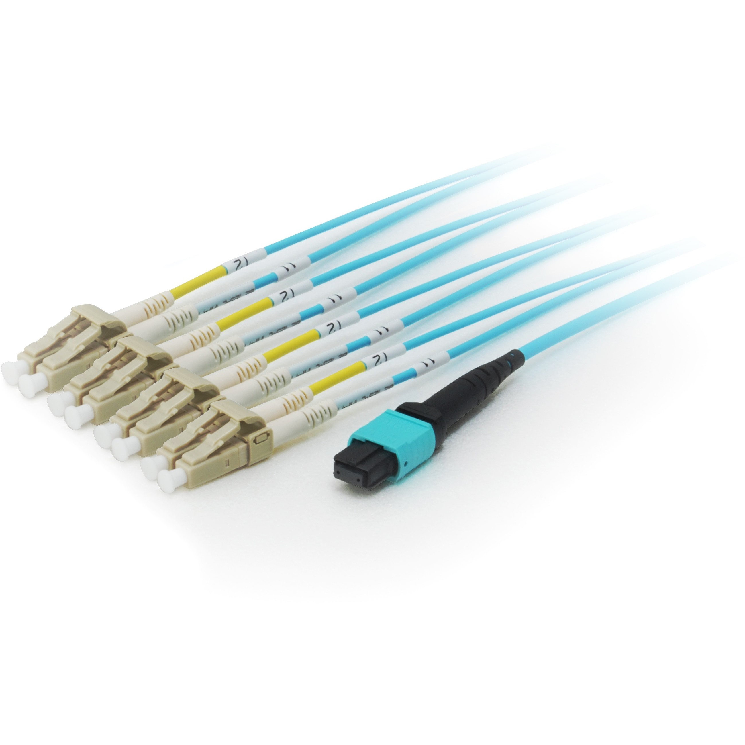 Equip MTP/LC Trunk Fiber Patch Cord OM4 M/M 10.00m Polybeutel
