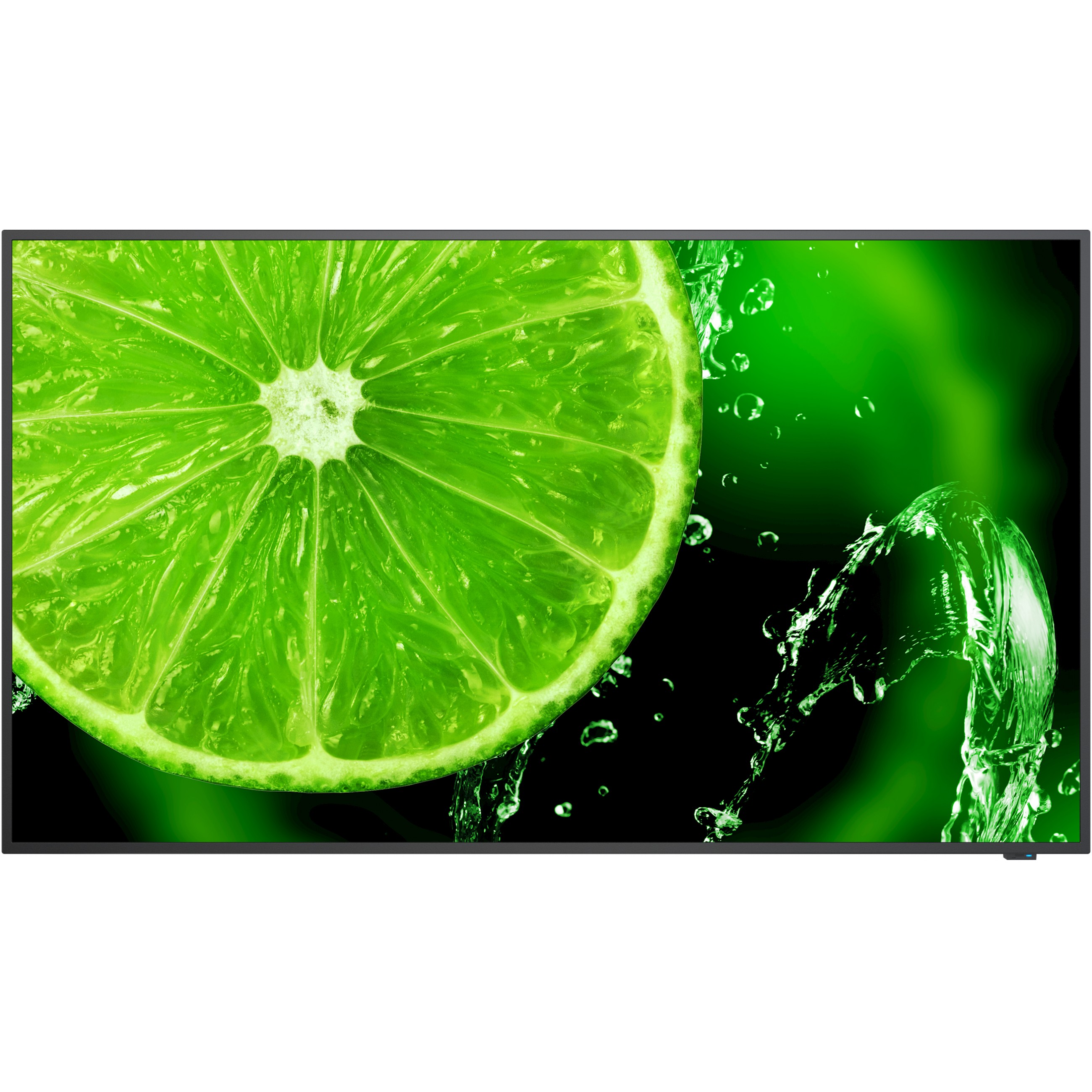 NEC MultiSync E498 49' Display UHD