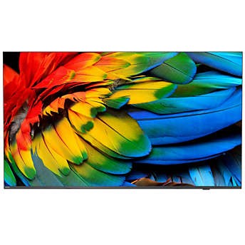 PHILIPS Hotel TV 65HFL6214U/12 164.0cm(65