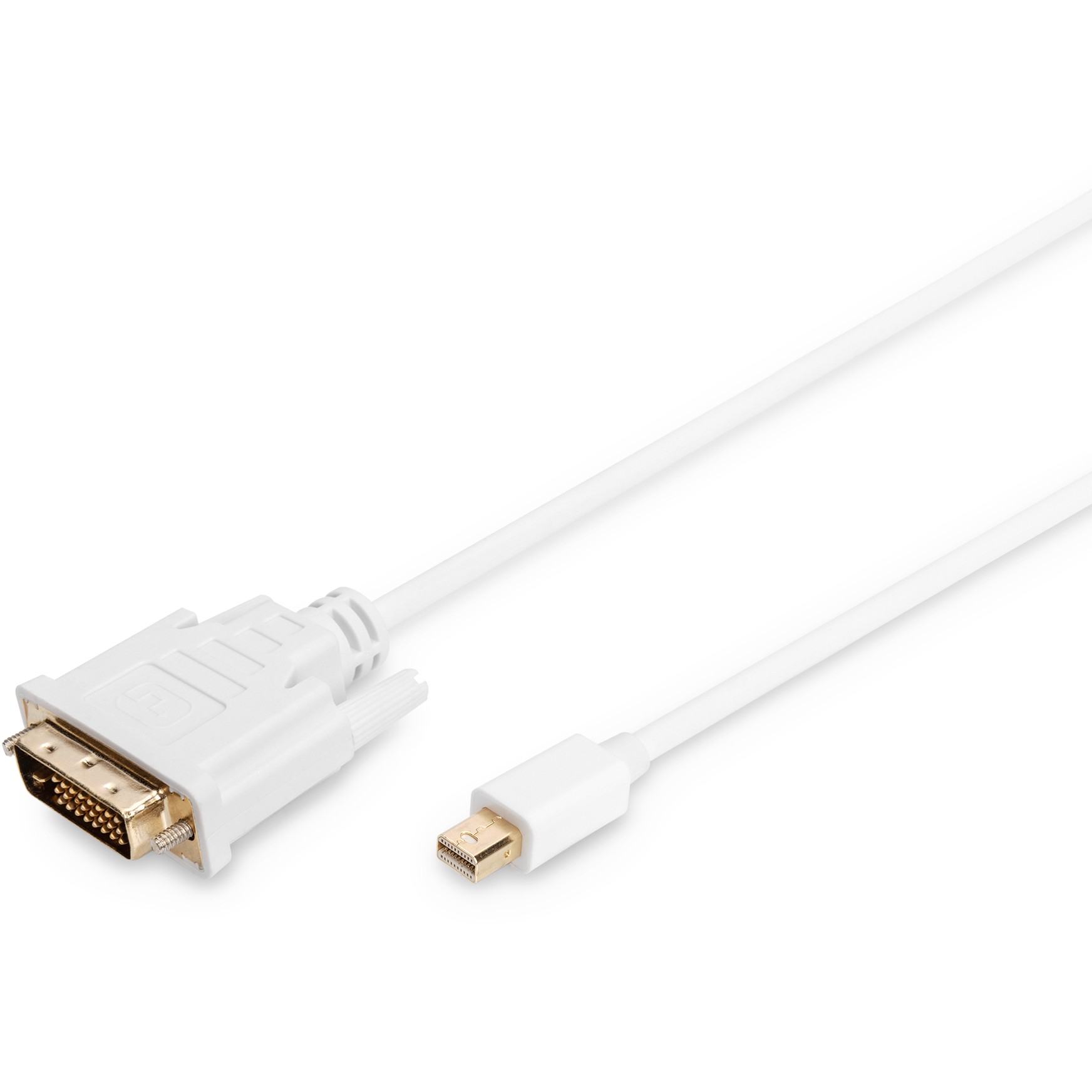 DIGITUS DisplayPortKabel miniDPort->DVI(24+1) St/St 8K 2m1.1 Polybeutel