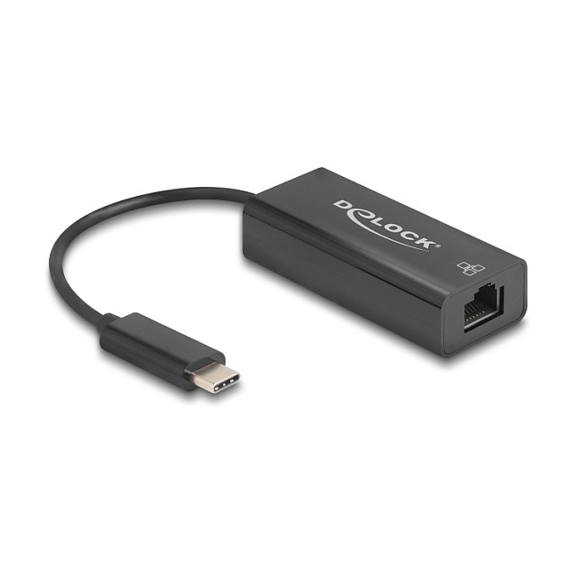 Delock USB 2.0 Type-C Adapter zu 10/100 Mbps LAN