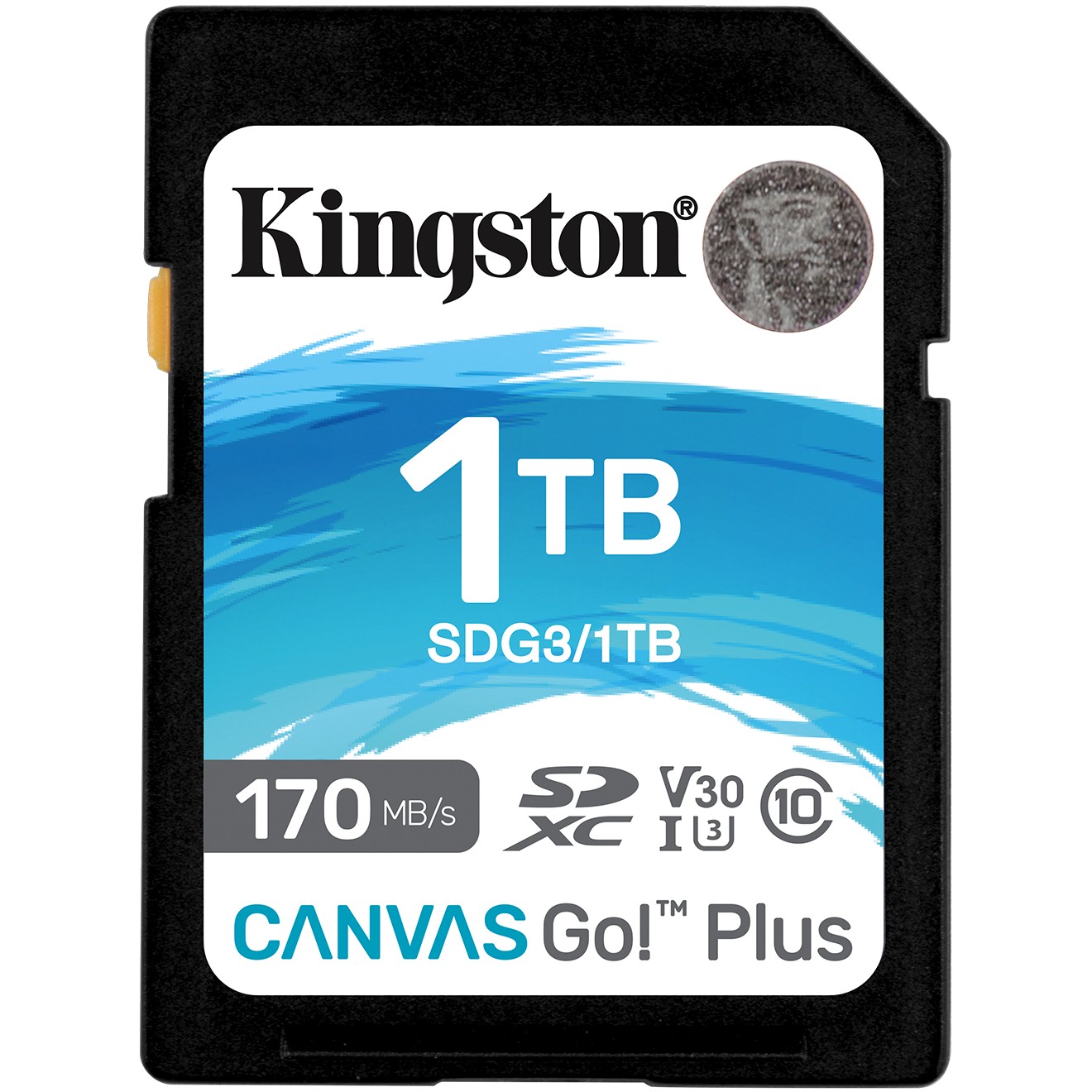 CARD Card 1TB Kingston XC Canvas Go Plus C10 retail