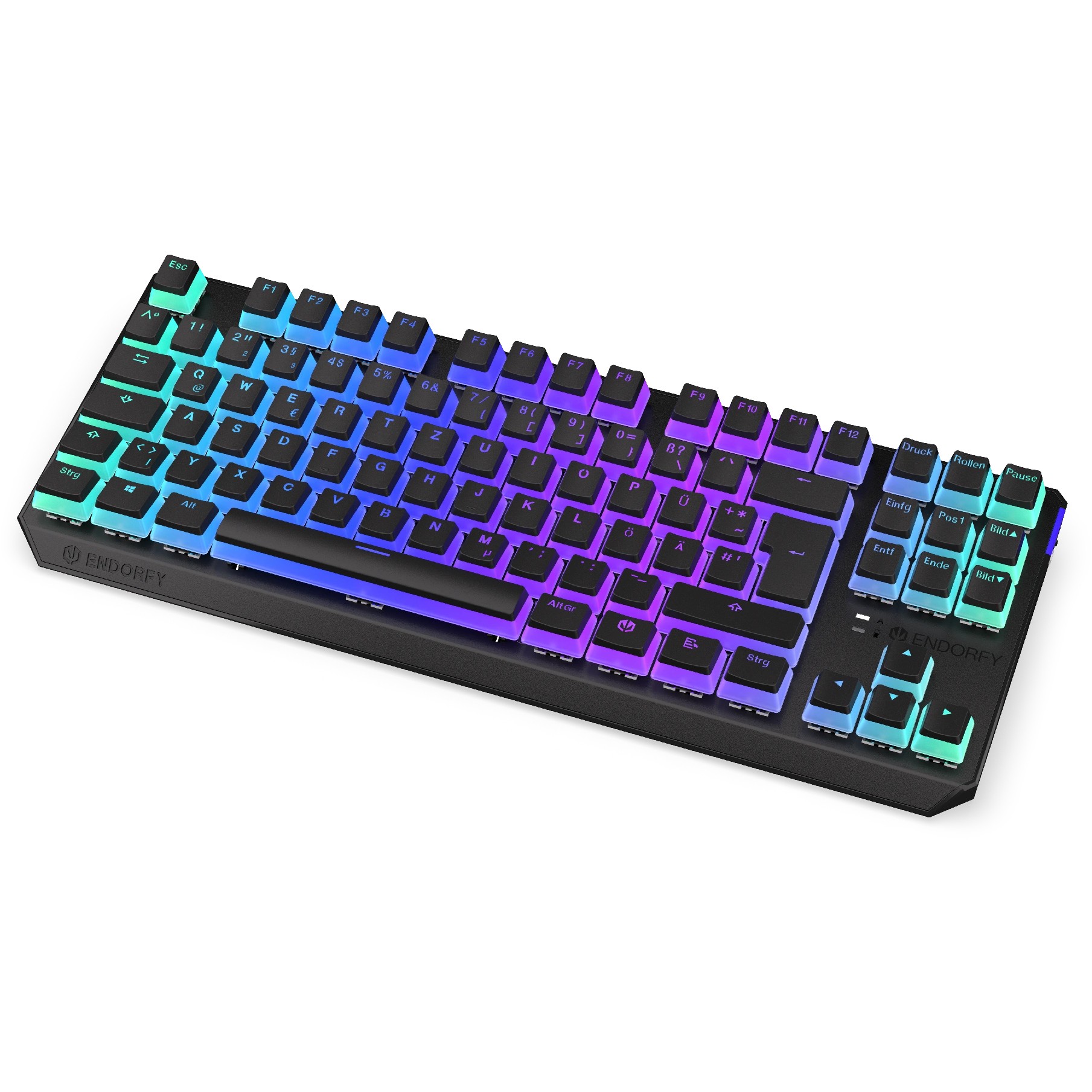 ENDORFY Thock TKL Wireless Pudding (schwarz. DE-Layout. Kailh Box Red)