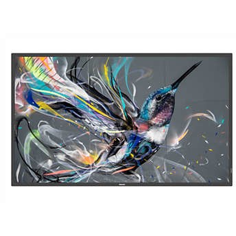 Philips 50BDL3550Q Signage Display 125.7 cm (49.5 Zoll)