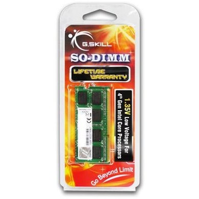 DDR3 4GB PC 12800 CL11 G.Skill 1.35
