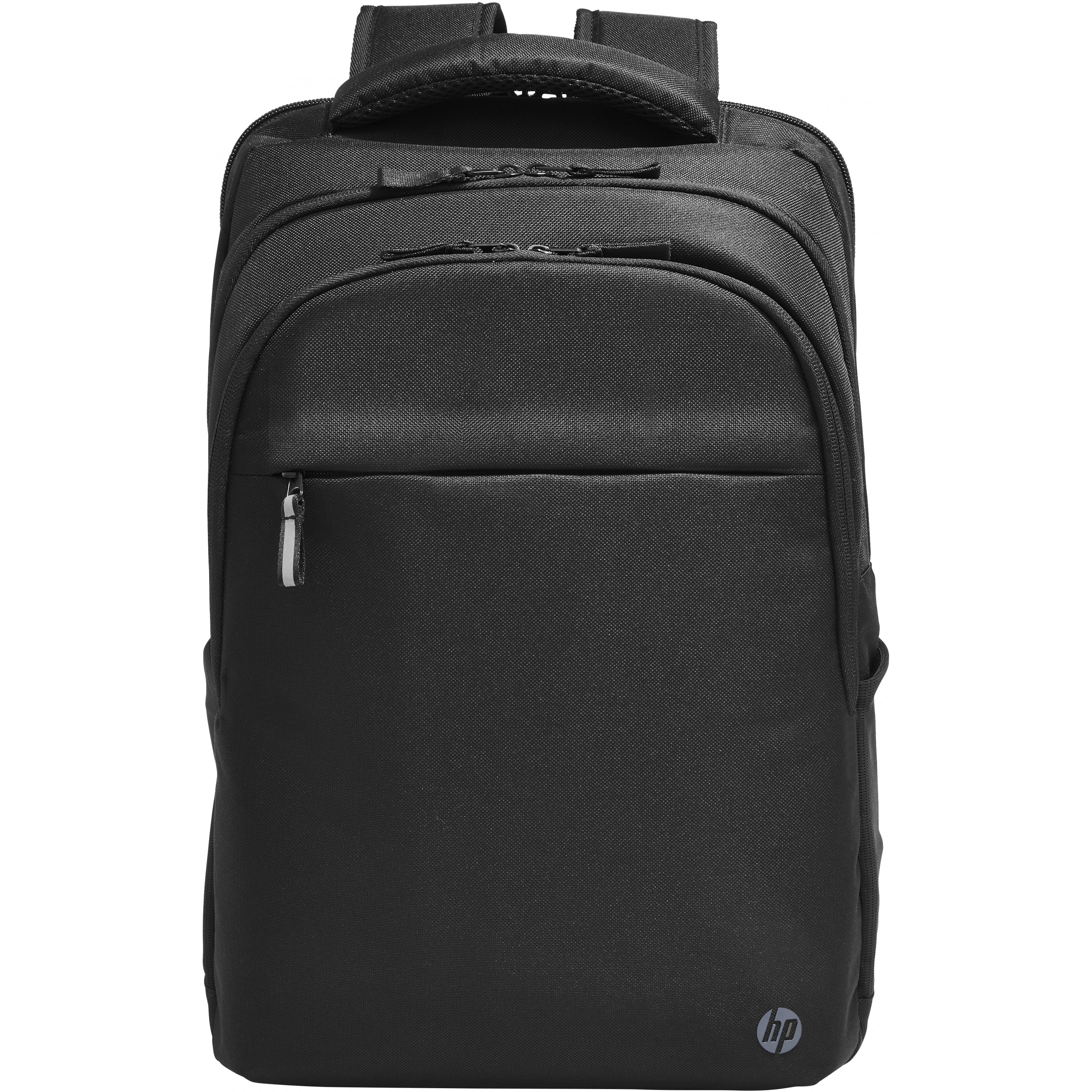 HP Professional 43,9cm 17,3