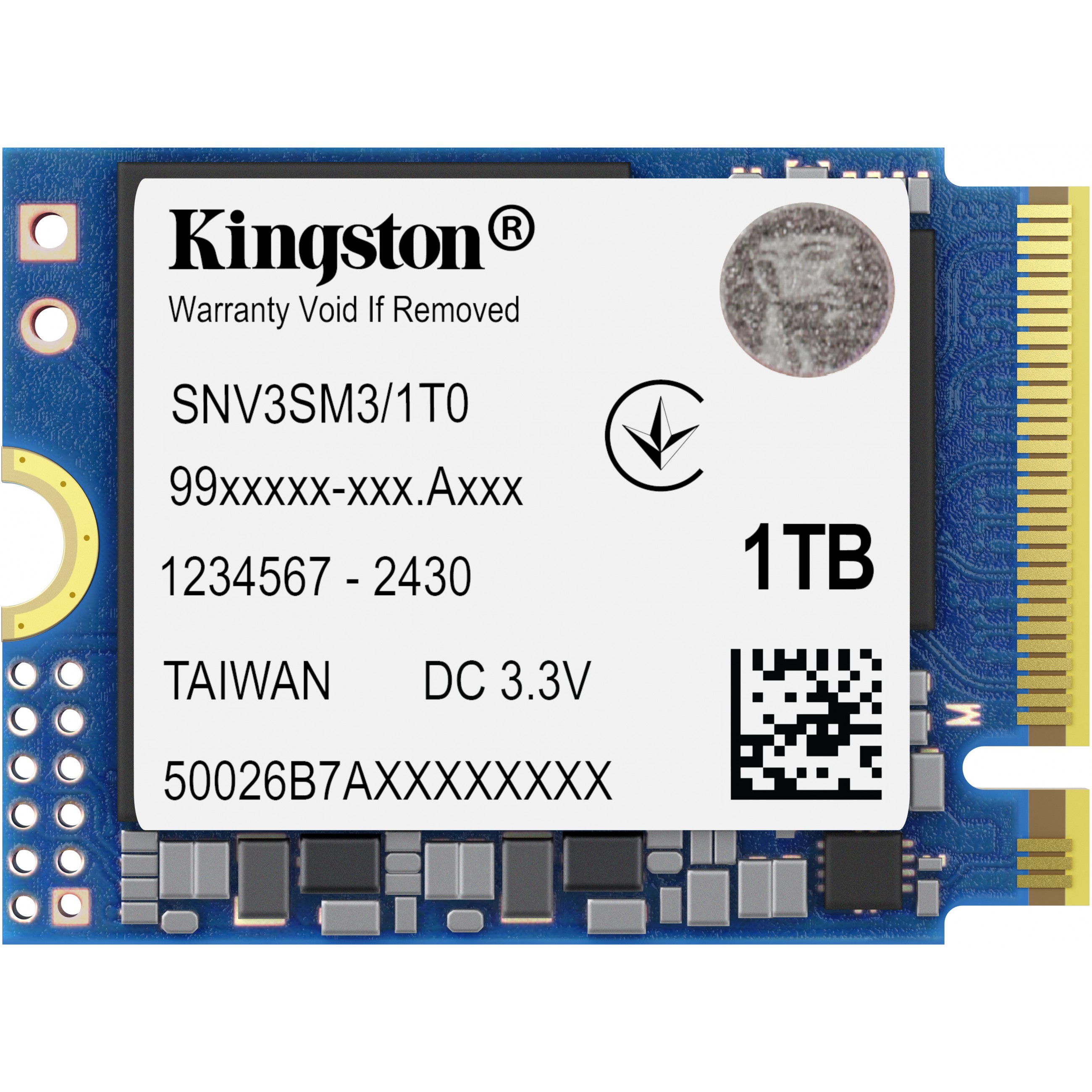 M.2 1000G NV3 2230
