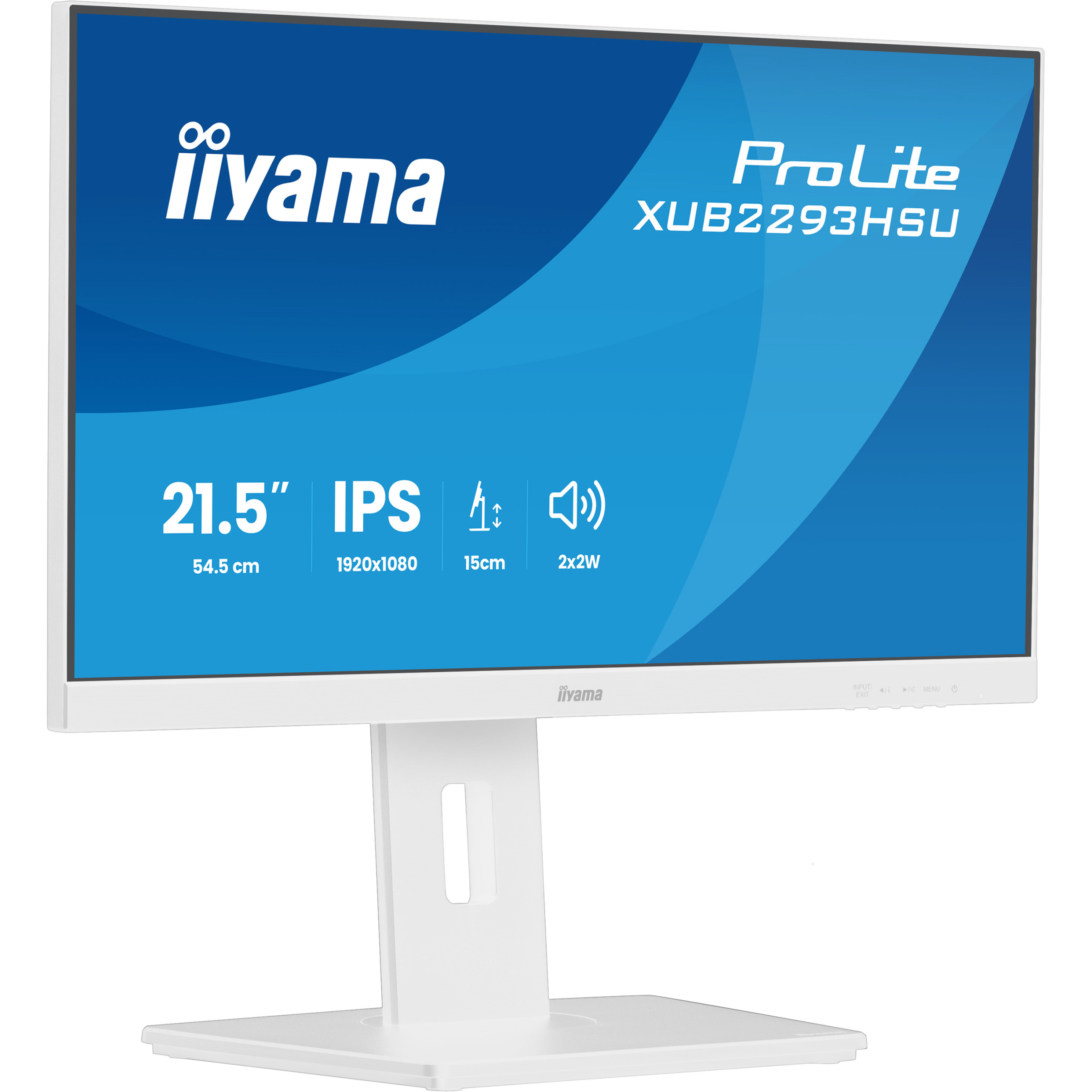 IIYAMA 54.5cm (21,5