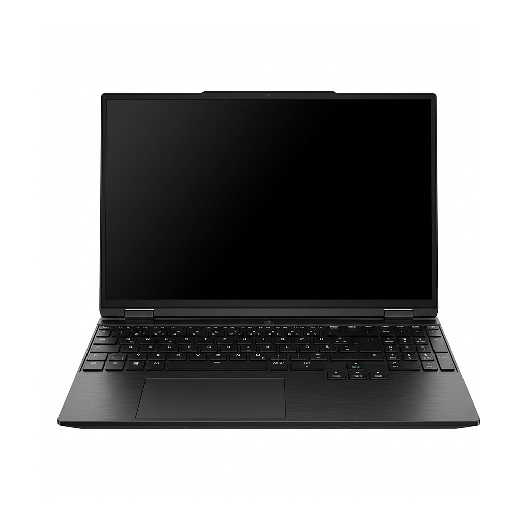 Schenker XMG EVO 15 M25dyq 15.3