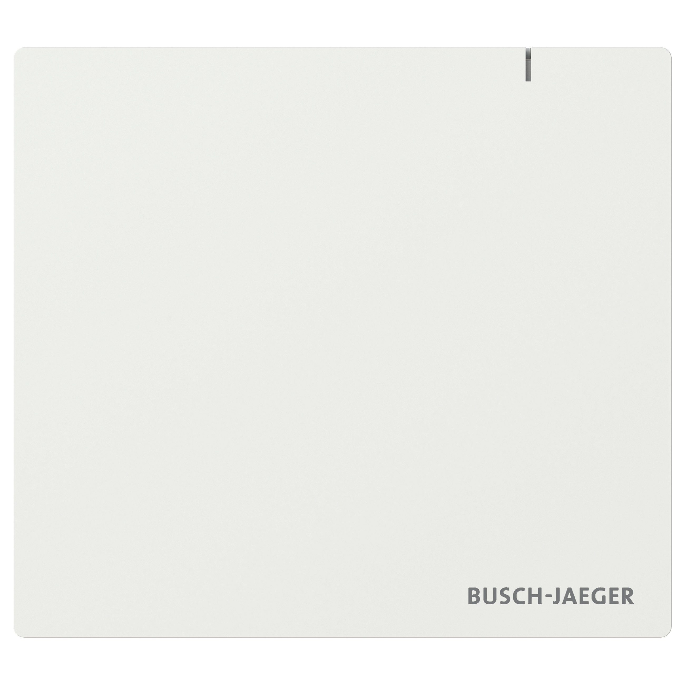 BUSCH JAEGER BJ SAP.13 System Access Point 3.0