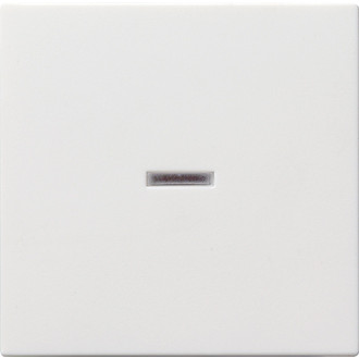 GIRA 029003 Wippe Kontroll reinweiß System 55