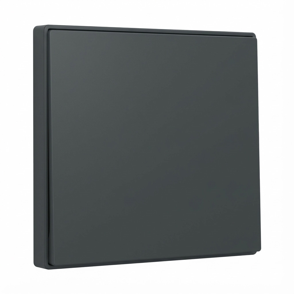 GIRA 329628 Wippe System 55 Anthrazit