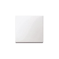 MERTEN 433119 Wippe für Schalter. Taster pws SYSTEM M