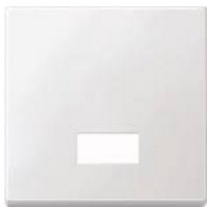 MERTEN 433819 Wippe für Schalter. Symbolfenster pws SYSTEM M