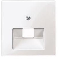 MERTEN 296225 aws Zentralplatte 1-f f UAE-Einsatz glänzend