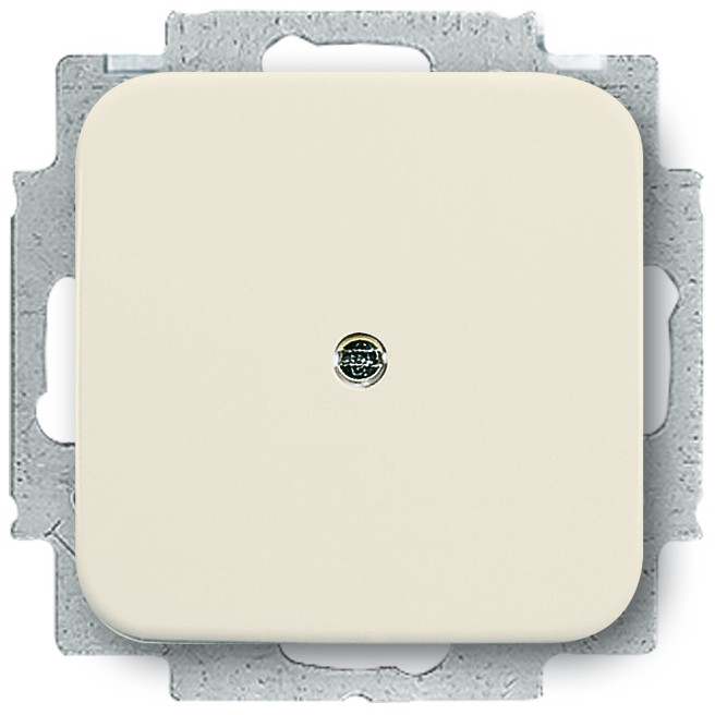 BUSCH JAEGER BJ 2538-212 Blindzentralscheibe Daten-Kommunikations-Technik weiß