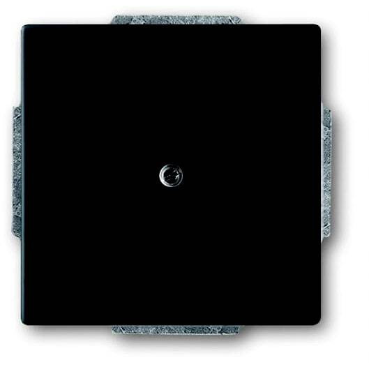 BUSCH JAEGER BJ 1742-885 Blindzentralscheibe future linear schwarz matt