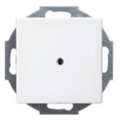 BUSCH JAEGER BJ 2527-914 Zentralscheibe alpinweiß Busch-balance SI Abd.Datenkommunikation