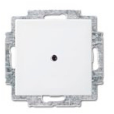 BUSCH JAEGER BJ 2538-914 Blindzentralscheibe alpinws Busch balance SI Abd.Datenkommunikation