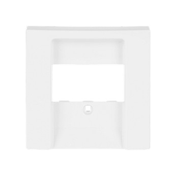 BUSCH JAEGER BJ 2539-914 Zentralscheibe aws Busch-balance SI Abd.Datenkommunikation