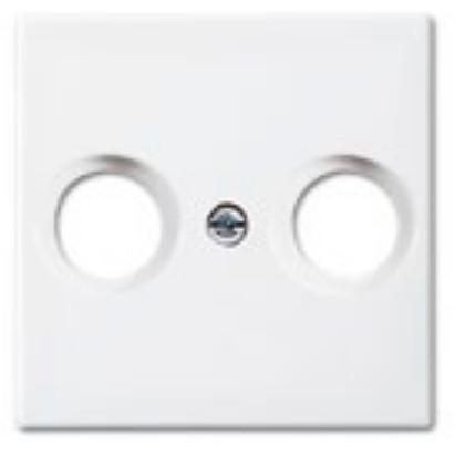 BUSCH JAEGER BJ 2531-914 Zentralscheibe alpinweiß Busch-balance SI Abd.Datenkommunikation