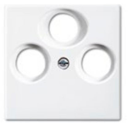 BUSCH JAEGER BJ 1743-03-914 Zentralscheibe alpinweiß Busch-balance SI Abd.Datenkommunikation