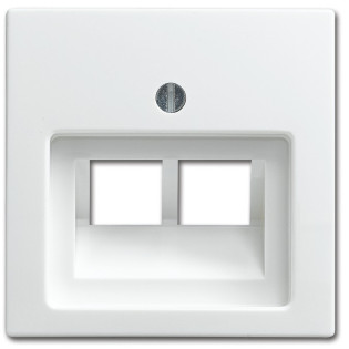 BUSCH JAEGER BJ 1803-02-914 Zentralscheibe alpinweiß Busch-balance SI Abd.Datenkommunikation