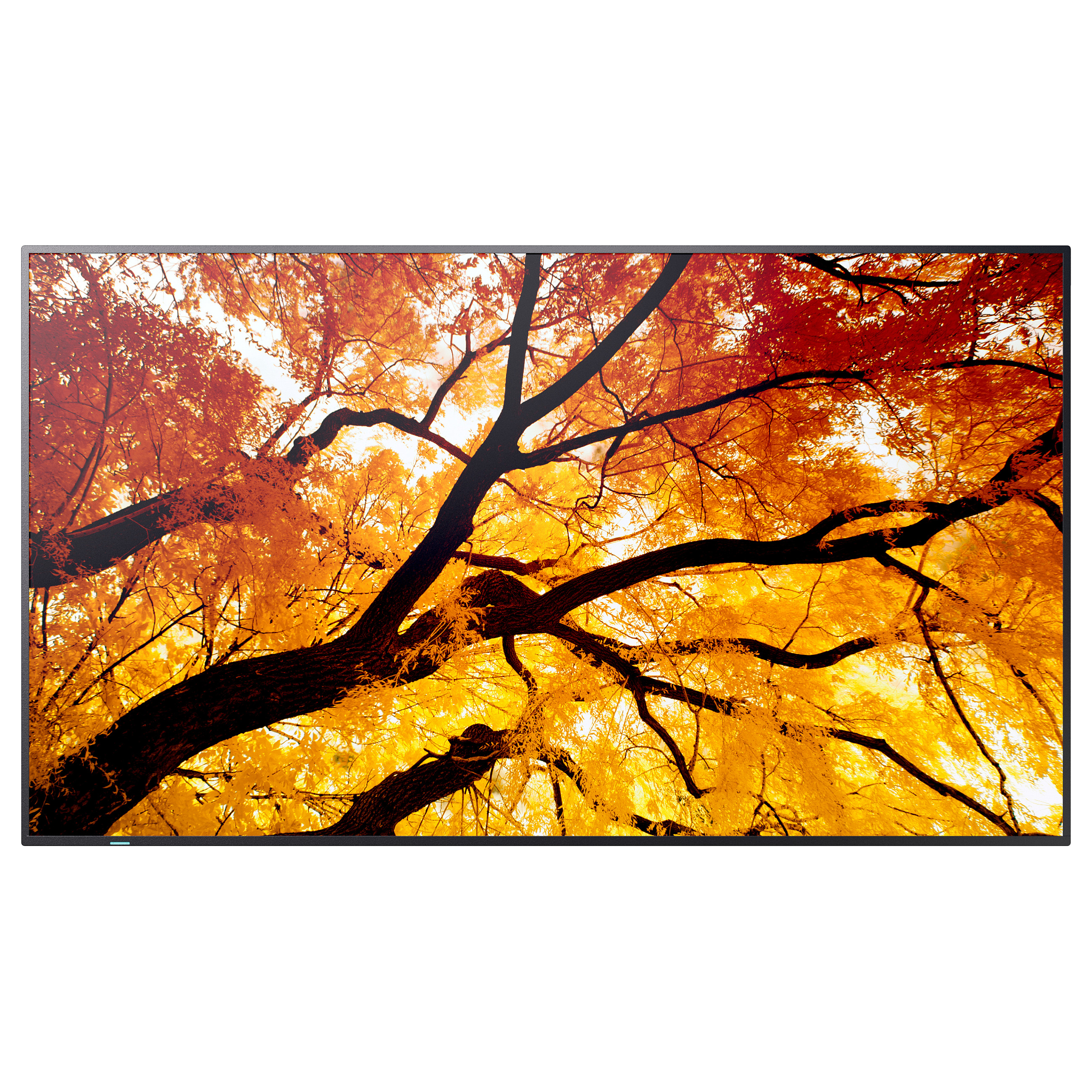 Sharp MultiSync M982 Digital Signage Display 247,7 cm 98 Zoll