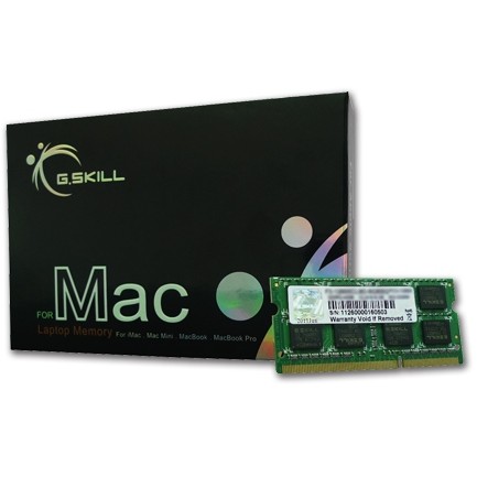S0 1066 4GB GSkill